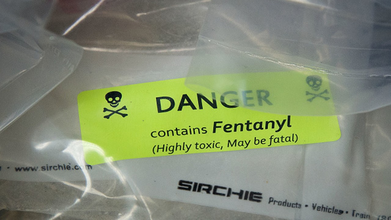 Largest Fentanyl Seizure In US History: Bondi's Role In The Drug Bust Largest Fentanyl Seizure In US History: Bondi's Role In The Drug Bust