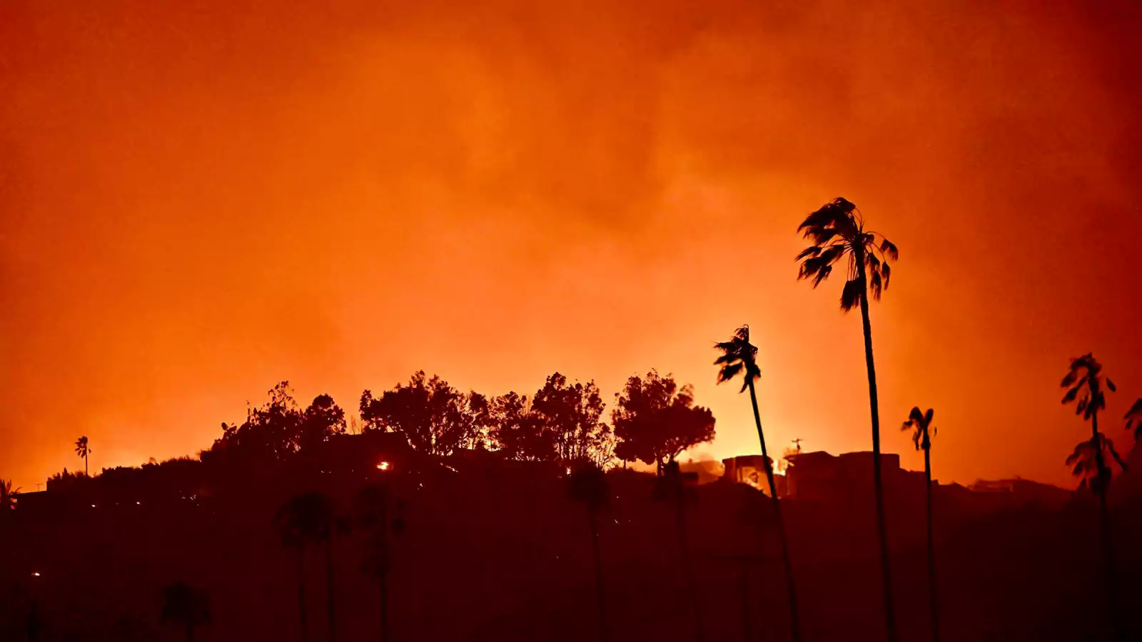 Los Angeles Wildfires: A Case Study In Disaster Betting And Societal Shifts Los Angeles Wildfires: A Case Study In Disaster Betting And Societal Shifts
