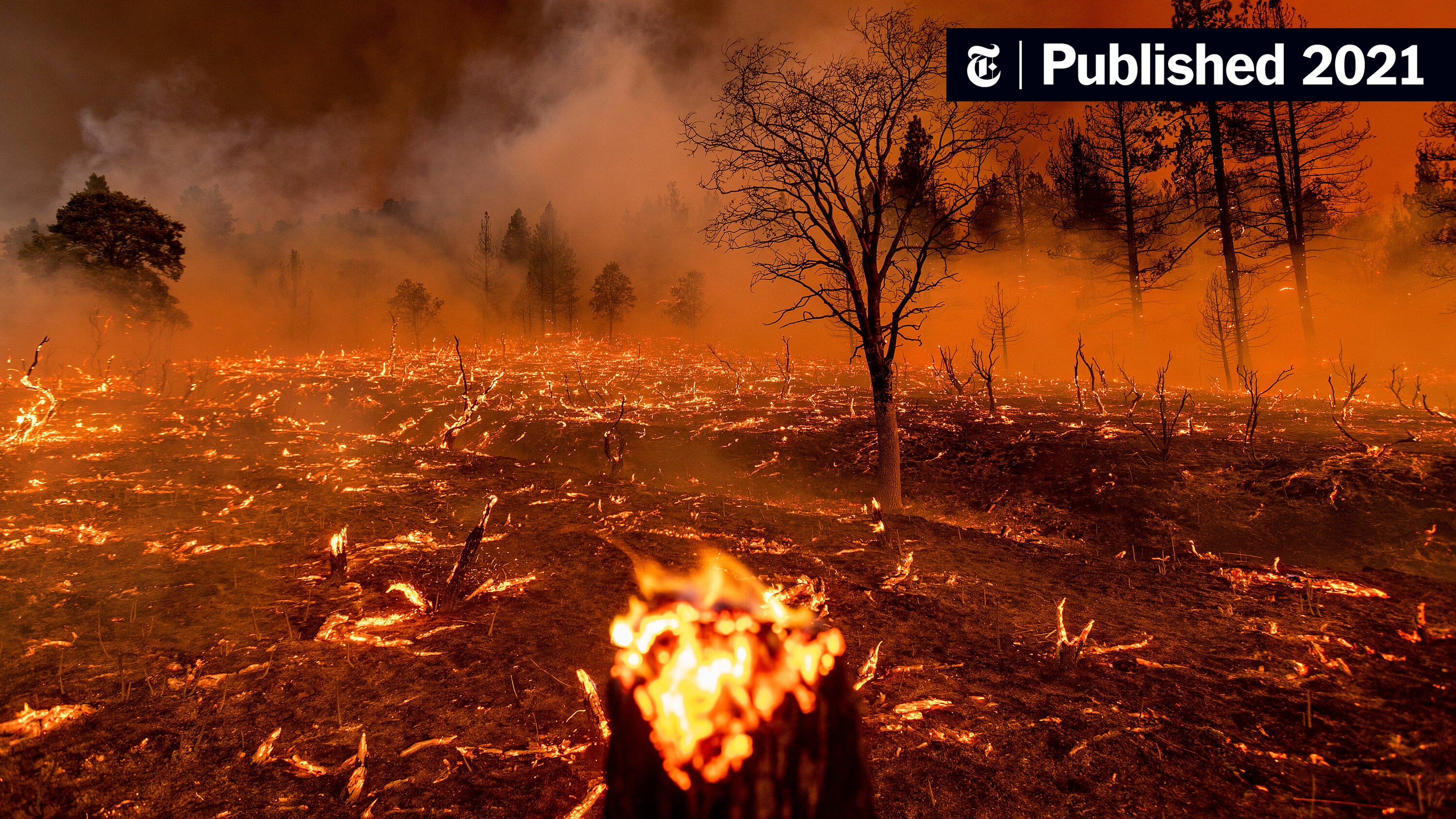Los Angeles Wildfires: The Ethics And Economics Of Disaster Gambling Los Angeles Wildfires: The Ethics And Economics Of Disaster Gambling