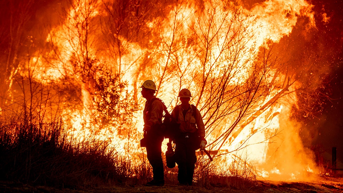 Los Angeles Wildfires: The Ethics And Legality Of Disaster Betting