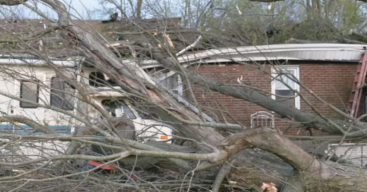 Louisville Residents: Submit Storm Debris Pickup Requests