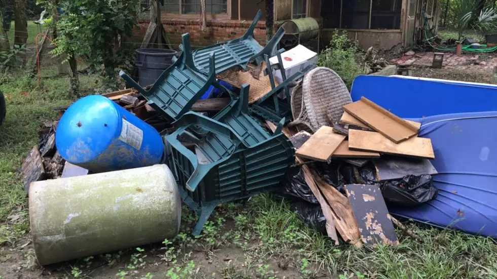 Louisville's Post-Storm Debris Removal:  A Guide To Requesting Service