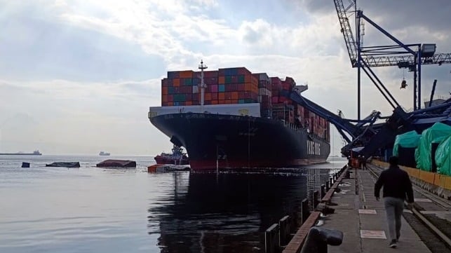 Man's Lawn Becomes Unexpected Docking Station For Runaway Container Ship Man's Lawn Becomes Unexpected Docking Station For Runaway Container Ship