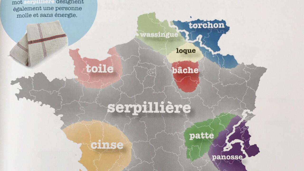 Mathieu Avanzi : Pourquoi Le Français Dépasse Le Cadre Scolaire Mathieu Avanzi : Pourquoi Le Français Dépasse Le Cadre Scolaire