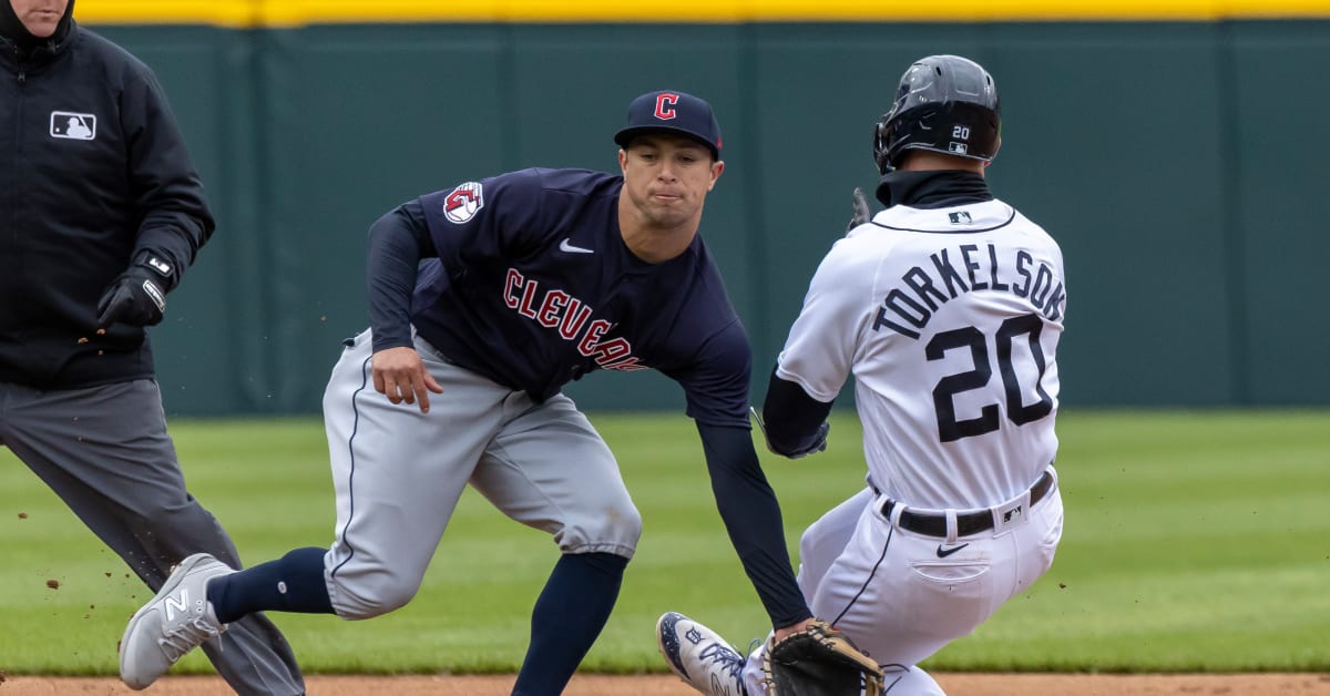 Mets Roster Moves: Nez Optioned, Megill In Rotation Mets Roster Moves: Nez Optioned, Megill In Rotation