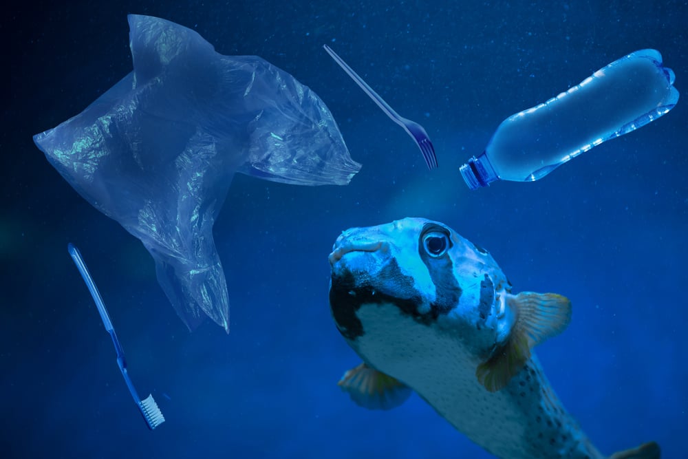 Microplastiche Nell'acqua: Un'indagine Sulla Contaminazione. Microplastiche Nell'acqua: Un'indagine Sulla Contaminazione.