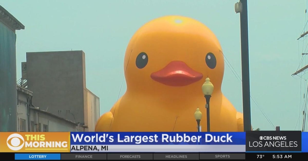 Myrtle Beach Welcomes The World's Biggest Rubber Duck Myrtle Beach Welcomes The World's Biggest Rubber Duck