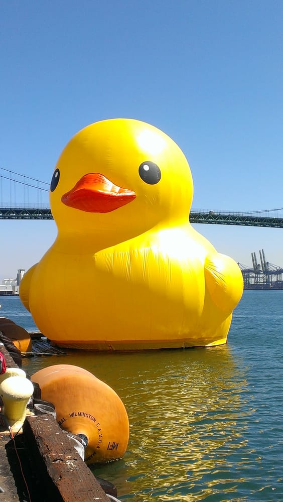 Myrtle Beach Welcomes World's Biggest Rubber Duck Myrtle Beach Welcomes World's Biggest Rubber Duck