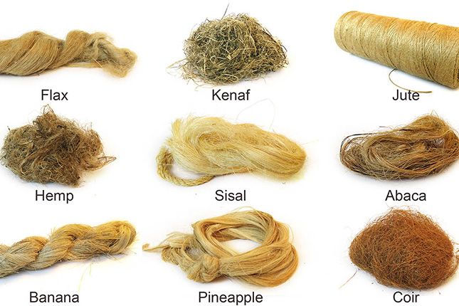 Natural Fiber Composites: A Global Market Forecast To 2029 Natural Fiber Composites: A Global Market Forecast To 2029