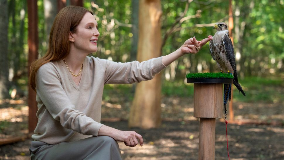 Netflix Unveils Trailer For Dark Comedy Featuring Kevin Bacon And Julianne Moore Netflix Unveils Trailer For Dark Comedy Featuring Kevin Bacon And Julianne Moore