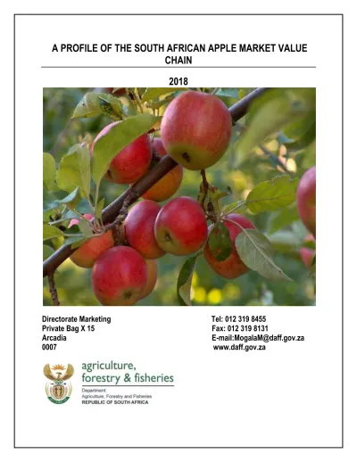 New Zealand's Apple Export Dominance Challenged By South Africa New Zealand's Apple Export Dominance Challenged By South Africa