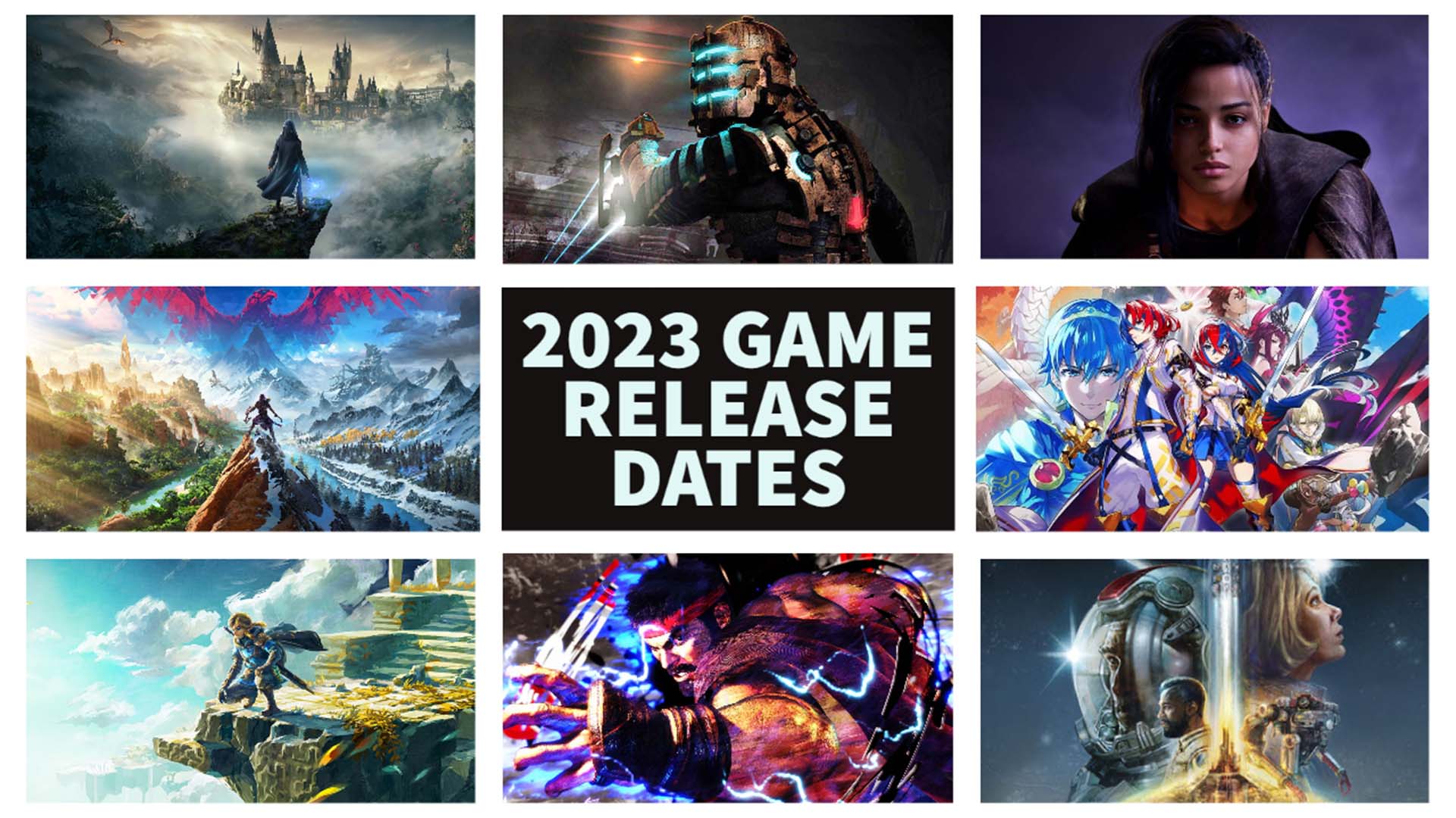 Nintendo's Calculated Risks: A Look At Recent Game Releases Nintendo's Calculated Risks: A Look At Recent Game Releases
