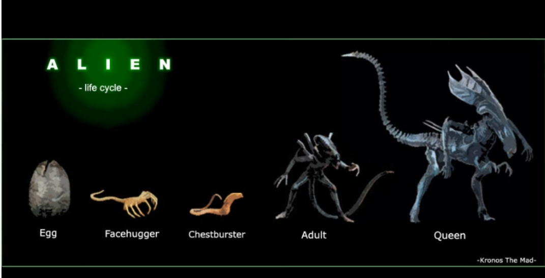 Non-Xenomorph Alien Life On Earth: Prediction And Discovery Non-Xenomorph Alien Life On Earth: Prediction And Discovery