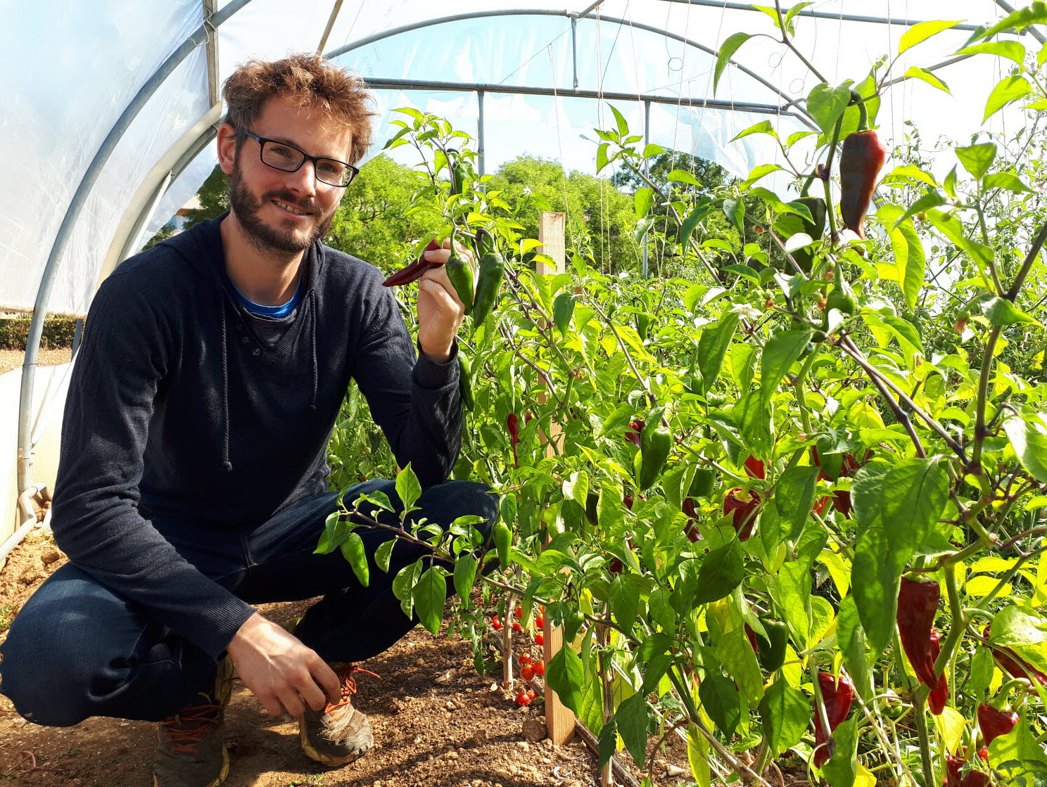 Nouveau Vignoble À Dijon : 2500 M² Plantés Aux Valendons Nouveau Vignoble À Dijon : 2500 M² Plantés Aux Valendons
