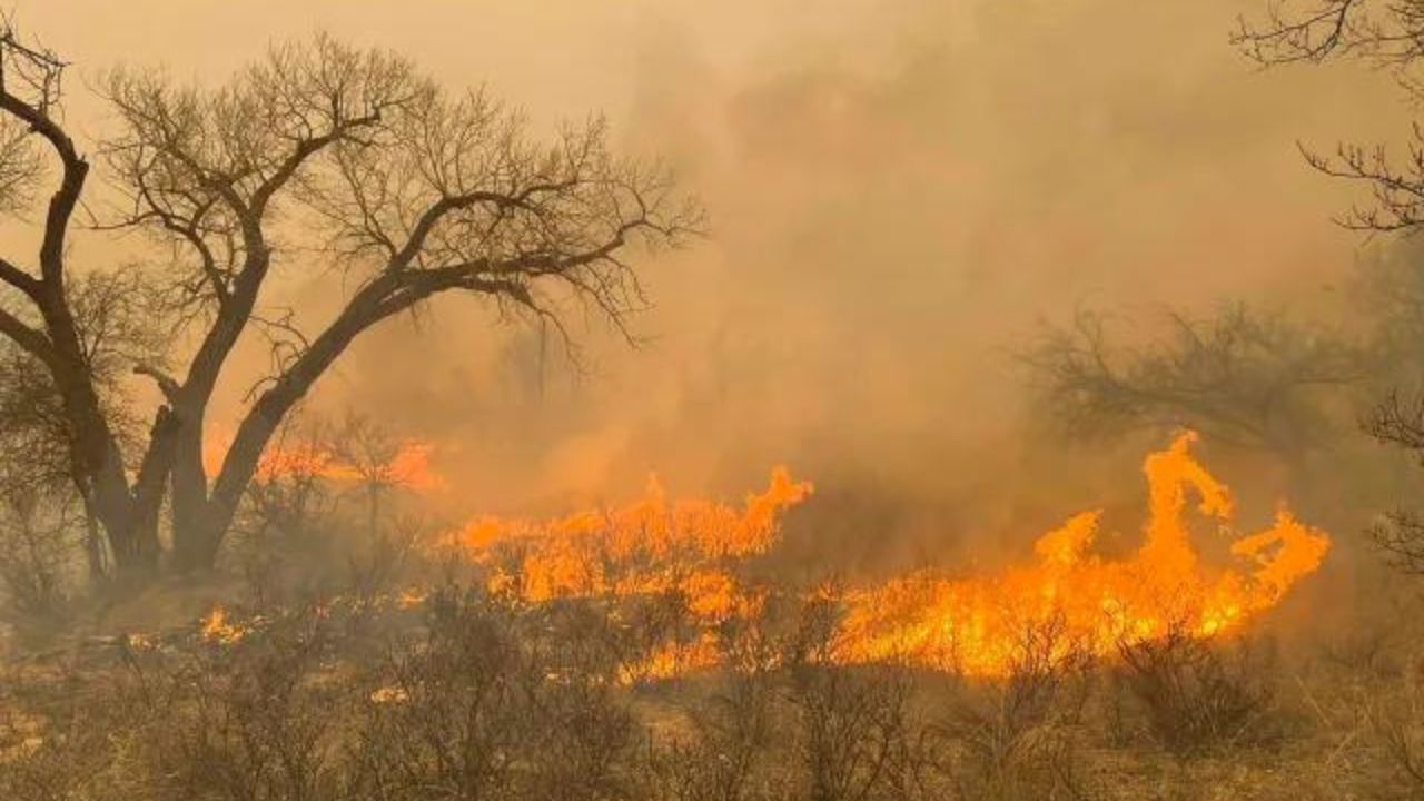 One Year After The Texas Panhandle Wildfire: A Look At The Recovery Efforts One Year After The Texas Panhandle Wildfire: A Look At The Recovery Efforts