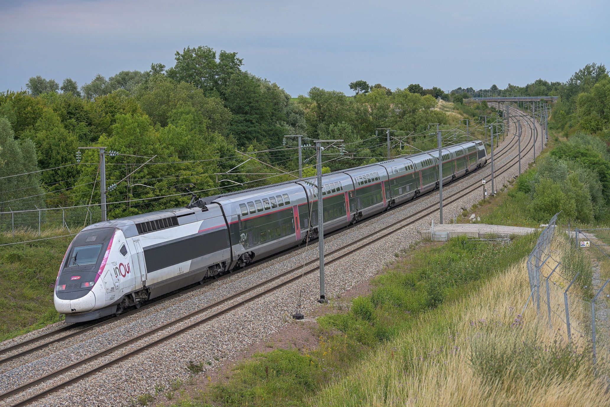 OQTF Et Fraude SNCF: Un Ivoirien Exhibe Son Sexe À Une Contrôleuse En Région Nord OQTF Et Fraude SNCF: Un Ivoirien Exhibe Son Sexe À Une Contrôleuse En Région Nord
