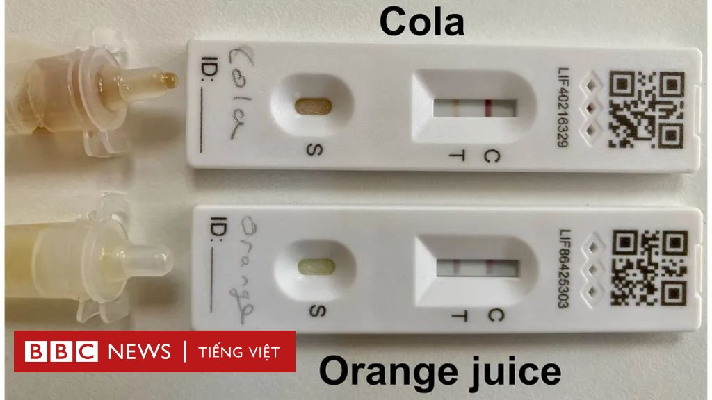 Pandemic Fraud: Lab Owner Convicted For False COVID Test Reports