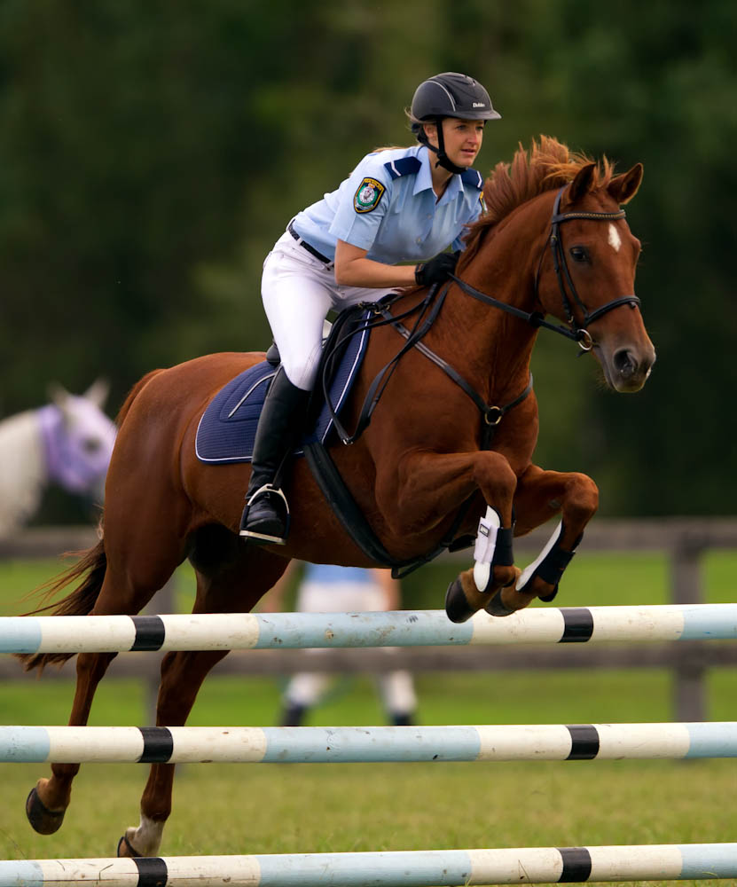 Paramedics Excel At The Police And Emergency Services Games: A Report Paramedics Excel At The Police And Emergency Services Games: A Report