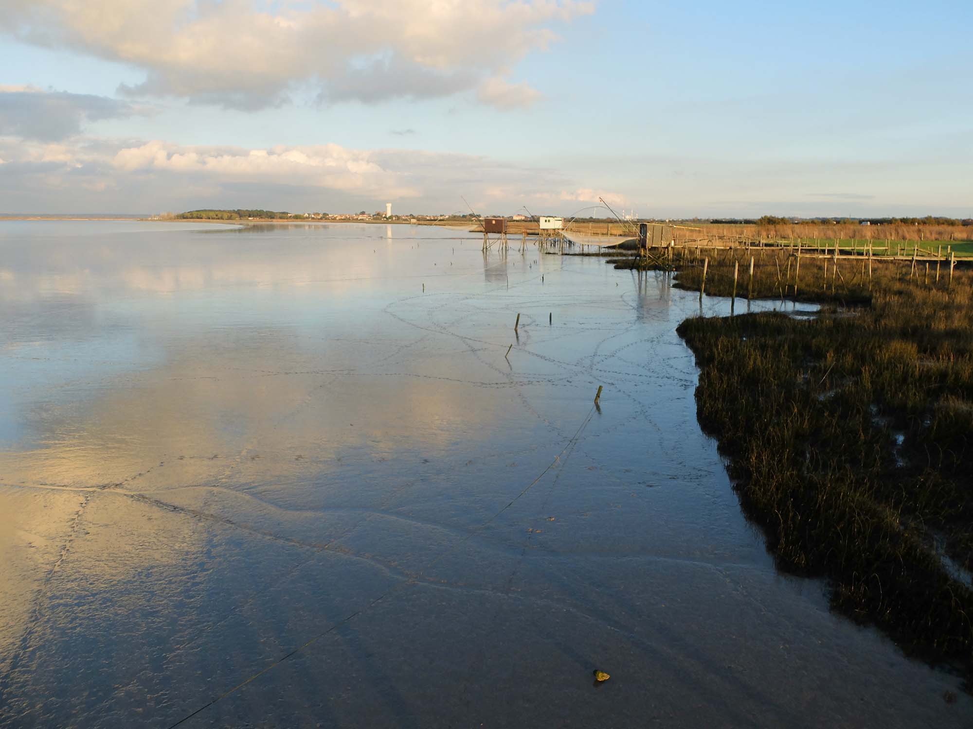 Parcourir La Loire À Vélo : Nantes, Vignoble Et Estuaire Parcourir La Loire À Vélo : Nantes, Vignoble Et Estuaire