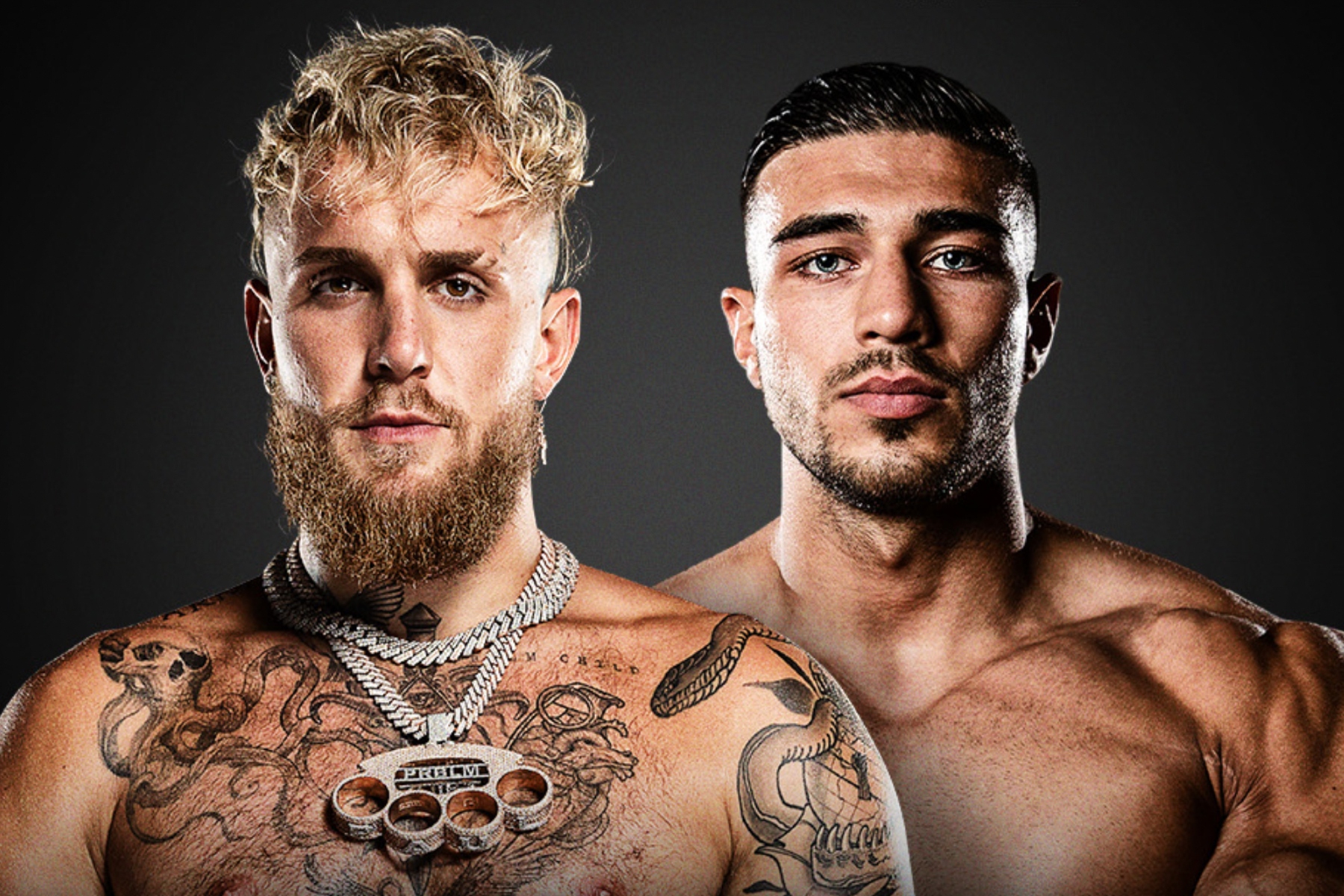 Paul Vs. Fury: Analyzing The Paul Vs. Fury: Analyzing The
