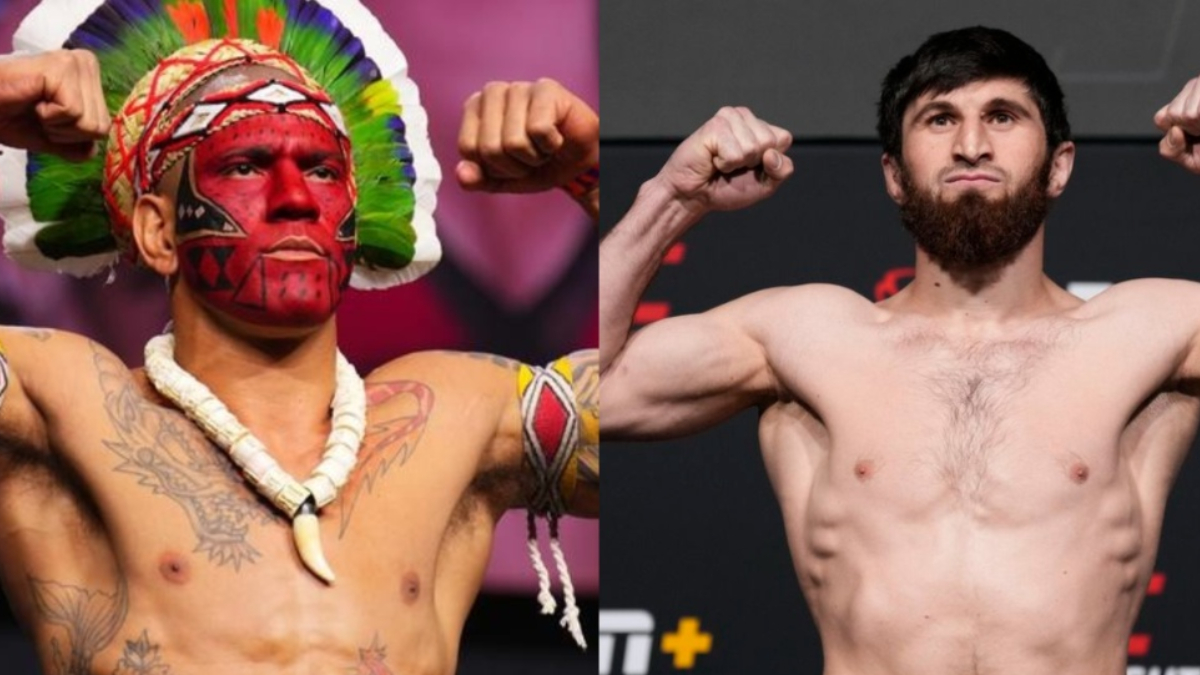 Pereira Vs Ankalaev UFC 313: Best Livestream Options Pereira Vs Ankalaev UFC 313: Best Livestream Options