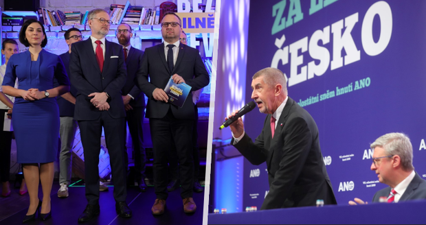 Piráti A Zelení: Domácí Politika A Cesta Do Sněmovny Piráti A Zelení: Domácí Politika A Cesta Do Sněmovny
