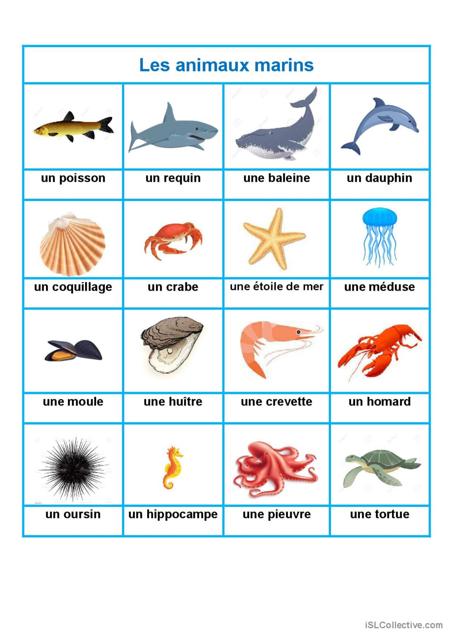 Planifier Votre Journée En Mer: Un Guide Pour Les Marins