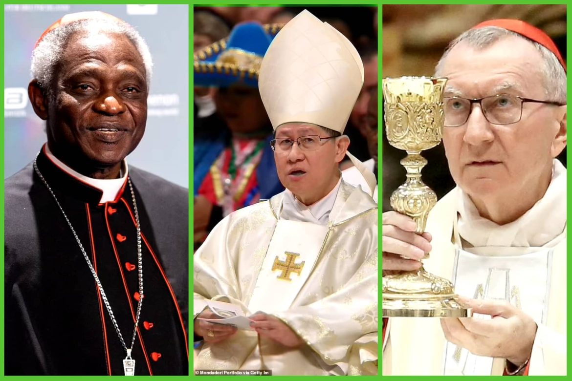 Possible Successors To Pope Francis: Examining The Leading Contenders For The Papacy Possible Successors To Pope Francis: Examining The Leading Contenders For The Papacy
