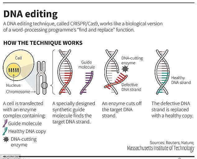 Powerful CRISPR: Precise Whole Gene Insertion Into Human DNA Powerful CRISPR: Precise Whole Gene Insertion Into Human DNA