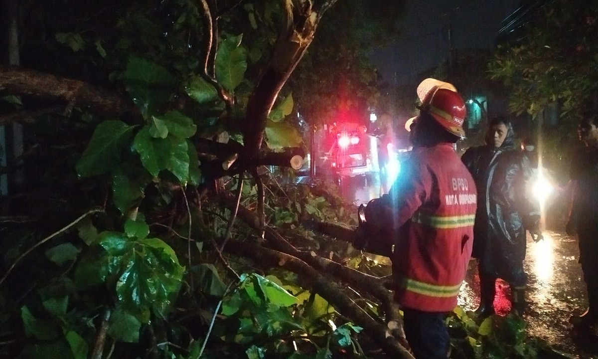 Prakiraan Cuaca Besok Di Bali: Denpasar Diprediksi Hujan Lebat Prakiraan Cuaca Besok Di Bali: Denpasar Diprediksi Hujan Lebat