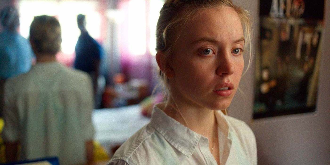 Priča S Reddita Postaje Film Sa Sydney Sweeney Priča S Reddita Postaje Film Sa Sydney Sweeney