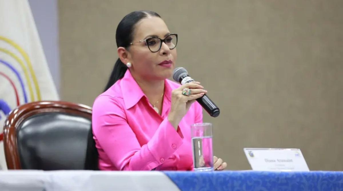 Primarias CNE 2025:  Calendario Electoral Y Desafíos