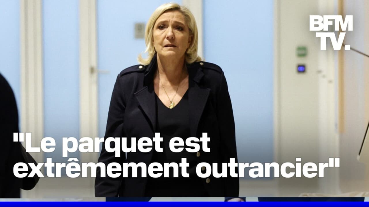 Procès Marine Le Pen : Appel Après Condamnation À Quatre Ans De Prison Et Inéligibilité