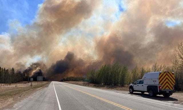 Protecting UK's Rarest Wildlife: The Urgent Fight Against Wildfires Protecting UK's Rarest Wildlife: The Urgent Fight Against Wildfires