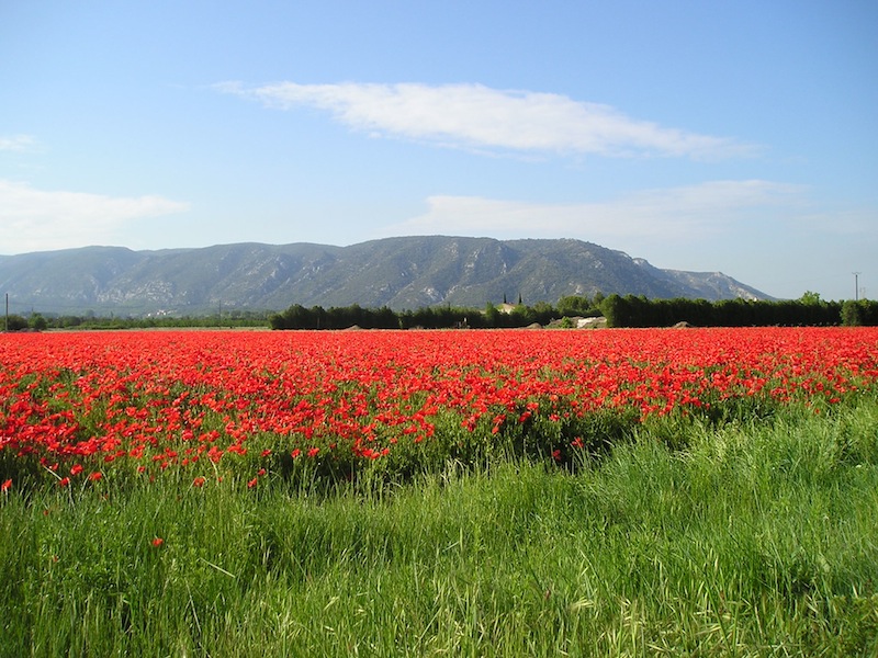 Provence Hiking Adventure: Self-Guided Walk, Mountains To Mediterranean Provence Hiking Adventure: Self-Guided Walk, Mountains To Mediterranean
