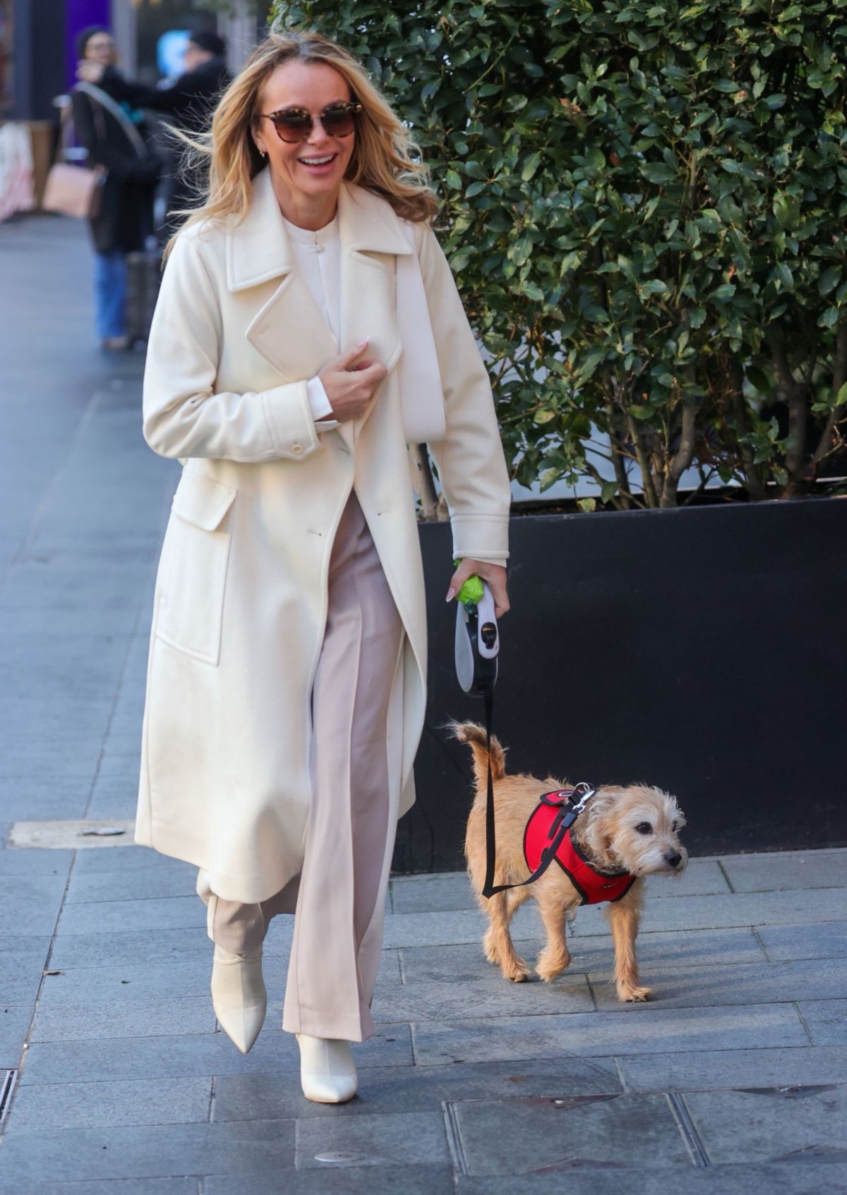 Public Disgust Over Amanda Holden's Revealed Dog Grooming Habit Public Disgust Over Amanda Holden's Revealed Dog Grooming Habit