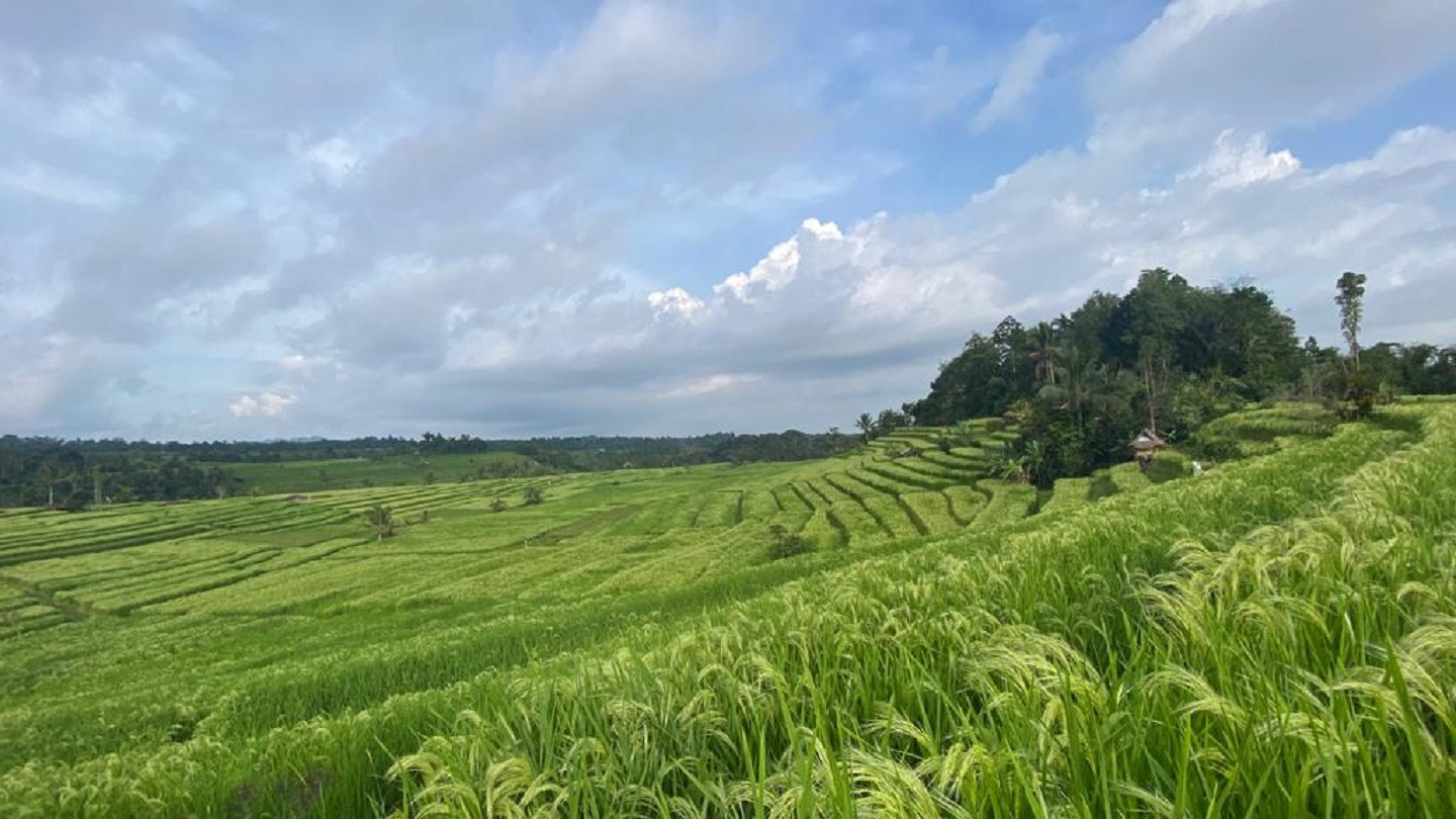 Ramalan Cuaca Bali: Berawan, Potensi Hujan Ringan Di Lima Daerah Ramalan Cuaca Bali: Berawan, Potensi Hujan Ringan Di Lima Daerah