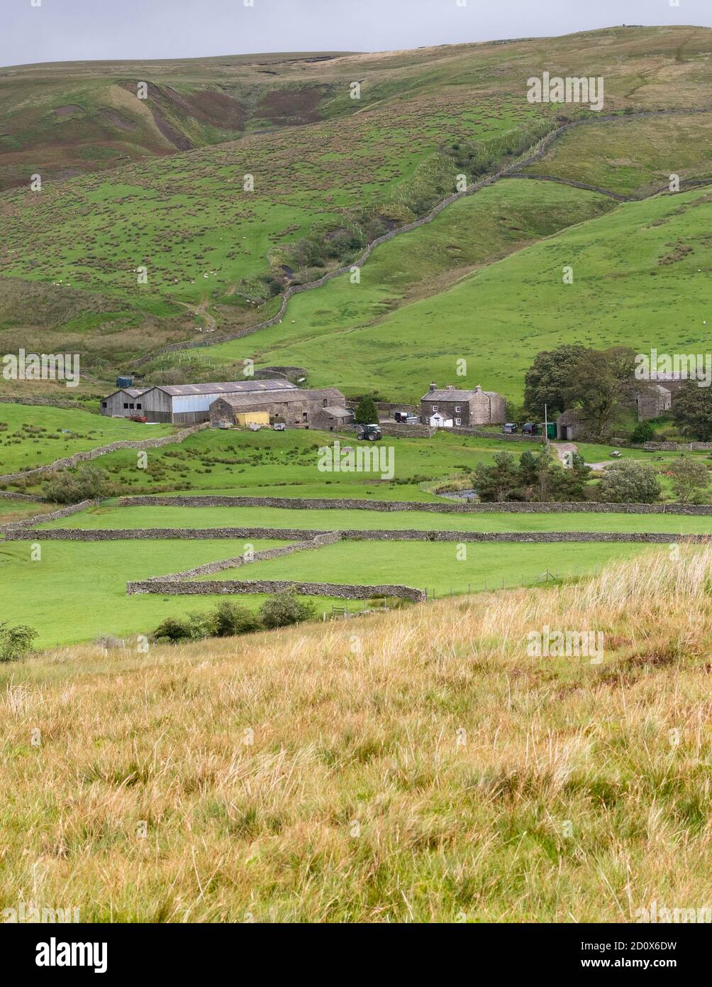 Ravenseat Farm Faces Setbacks: Amanda Owen Provides Family Update Ravenseat Farm Faces Setbacks: Amanda Owen Provides Family Update