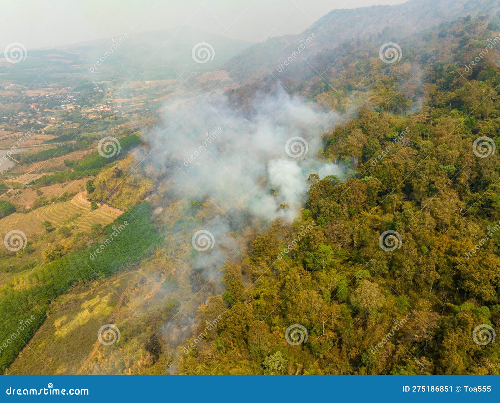 Record-Breaking Forest Loss: Wildfires Intensify Global Deforestation Record-Breaking Forest Loss: Wildfires Intensify Global Deforestation