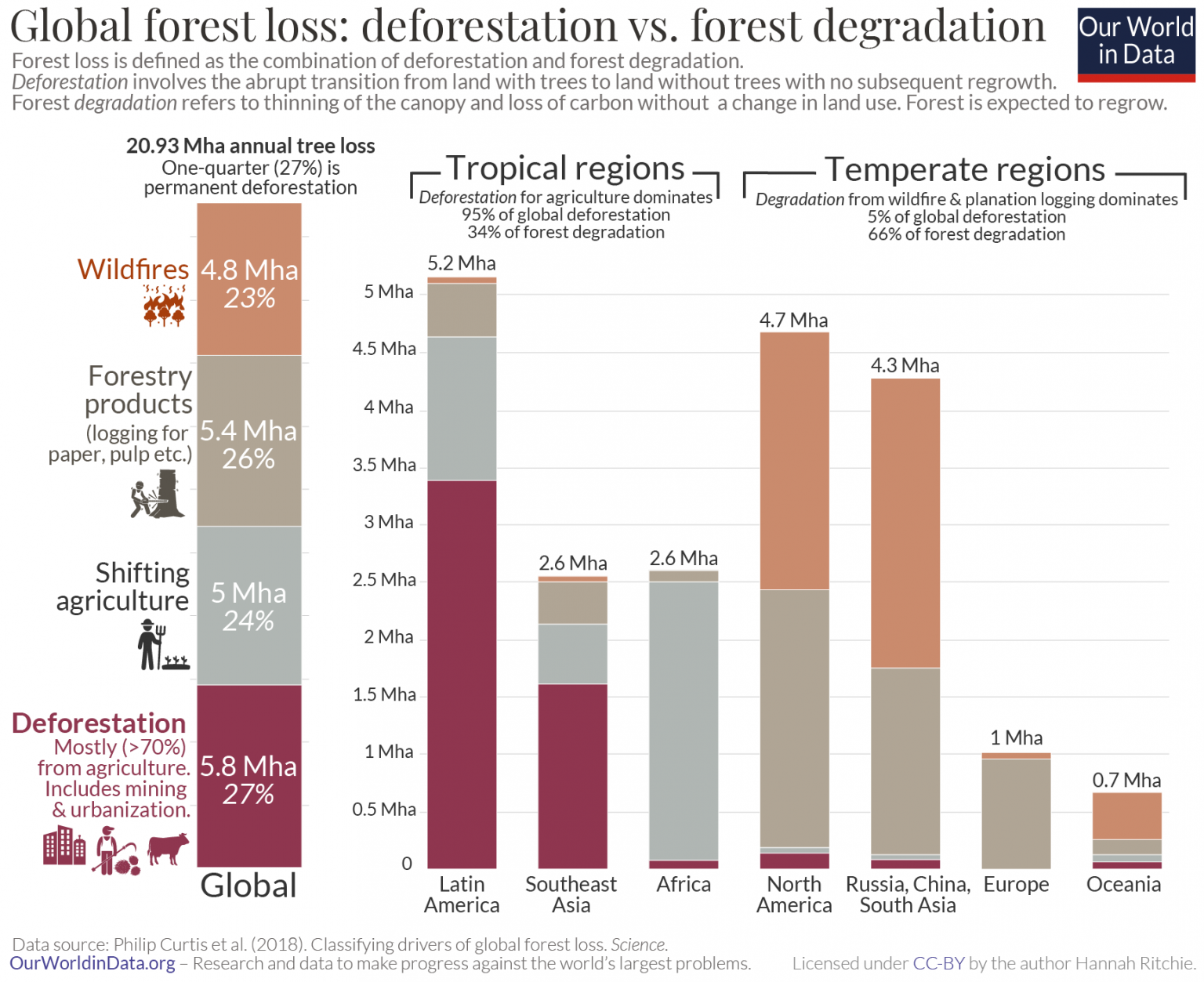 Record-Breaking Global Forest Loss: Wildfires And Deforestation Record-Breaking Global Forest Loss: Wildfires And Deforestation