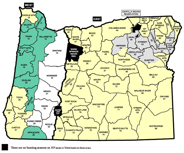 Reduced Jackson Elk Hunting Season: Public Comment Impacts Reduced Jackson Elk Hunting Season: Public Comment Impacts