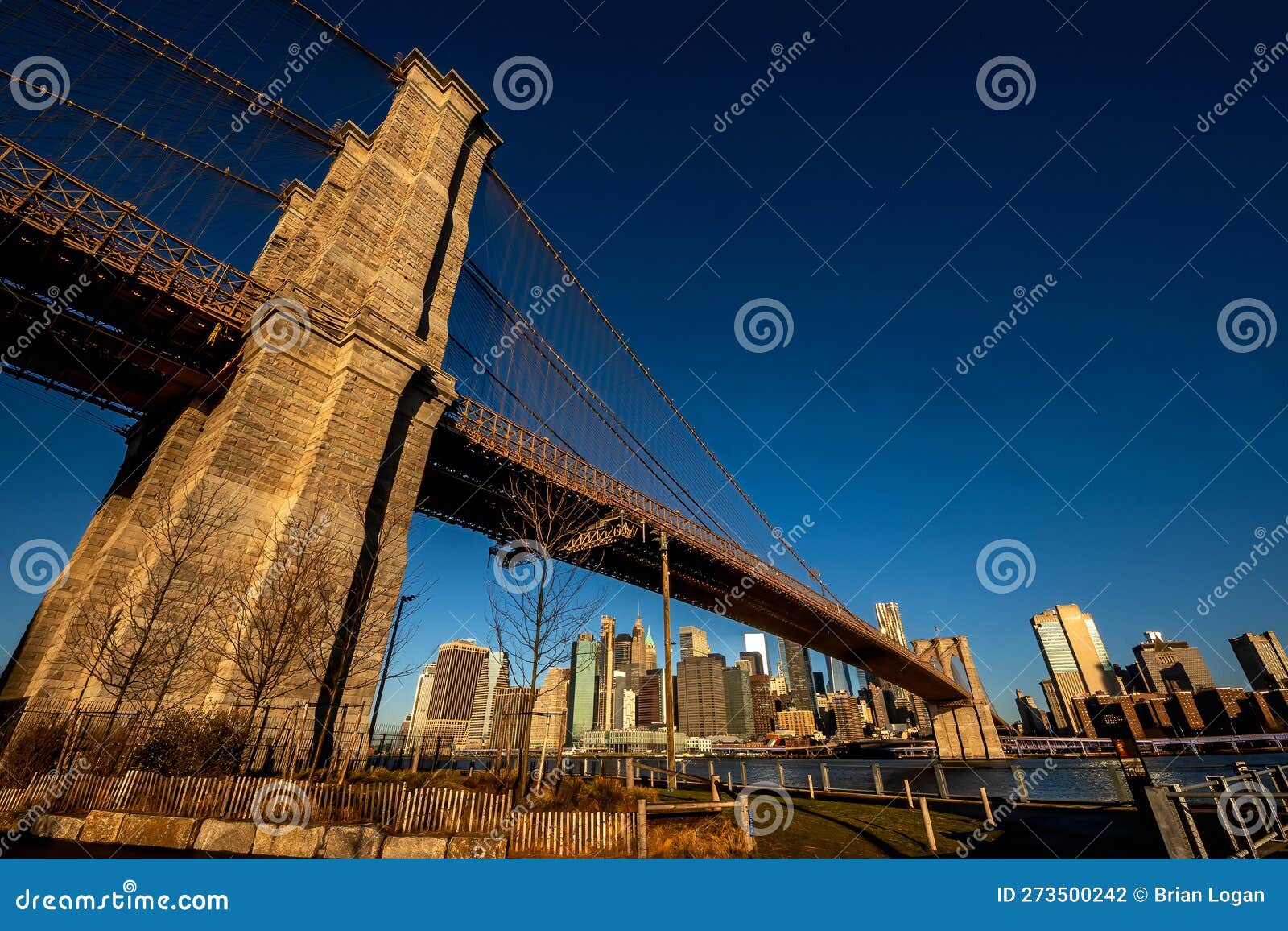 Remembering Emily Warren Roebling: A Pioneer Of Bridge Engineering Remembering Emily Warren Roebling: A Pioneer Of Bridge Engineering
