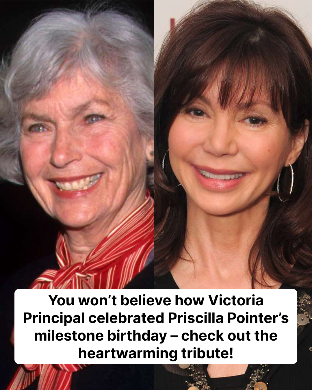 Remembering Priscilla Pointer: Actress Dies At 100 Remembering Priscilla Pointer: Actress Dies At 100