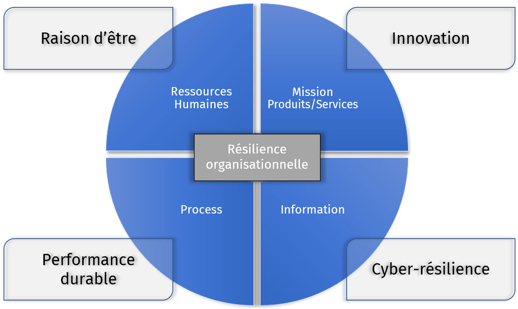 Résilience De L'euro : Décryptage Des Tensions Actuelles Résilience De L'euro : Décryptage Des Tensions Actuelles