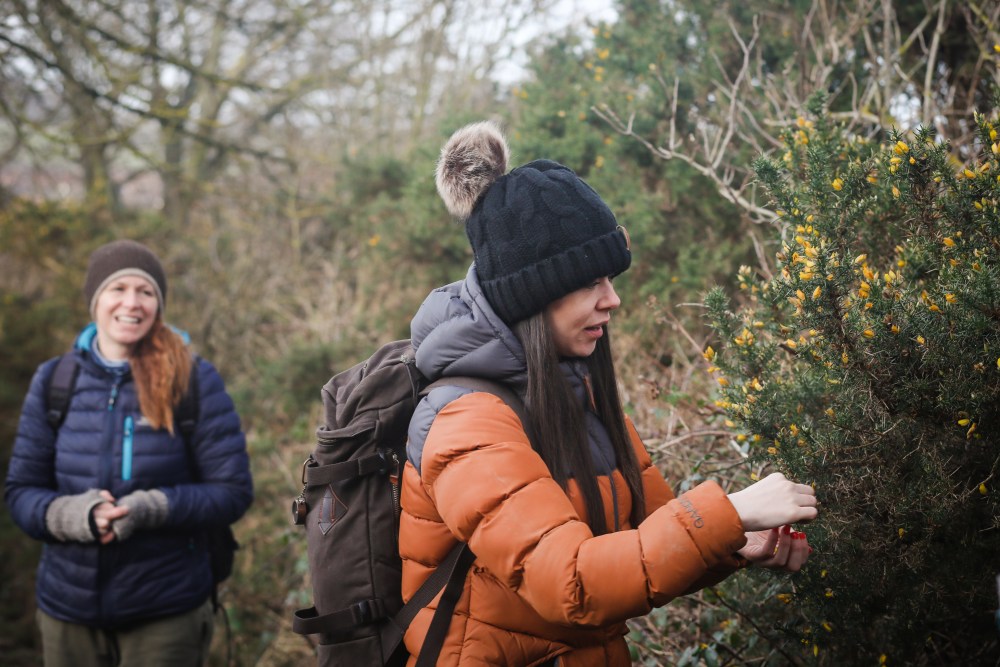 Roastable Roots: A Foraging Adventure In The Country Diary Roastable Roots: A Foraging Adventure In The Country Diary