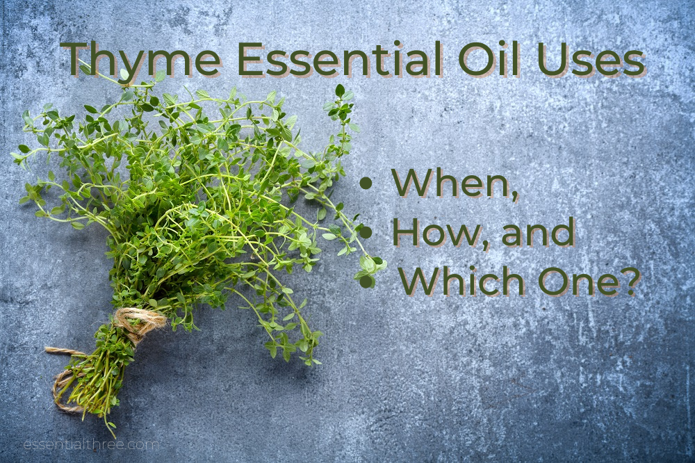 Rosemary & Thyme Essential Oils: Uses And Benefits