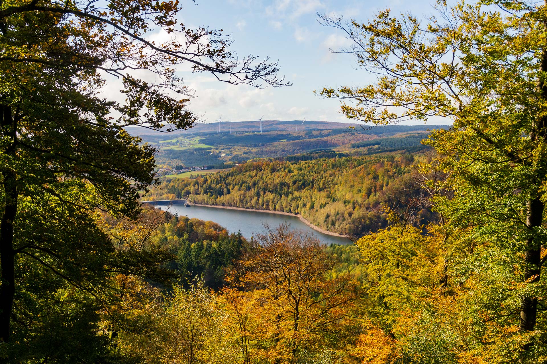 Sachsen: Fortschrittliche Waldbrandüberwachung Im Nationalpark Sachsen: Fortschrittliche Waldbrandüberwachung Im Nationalpark
