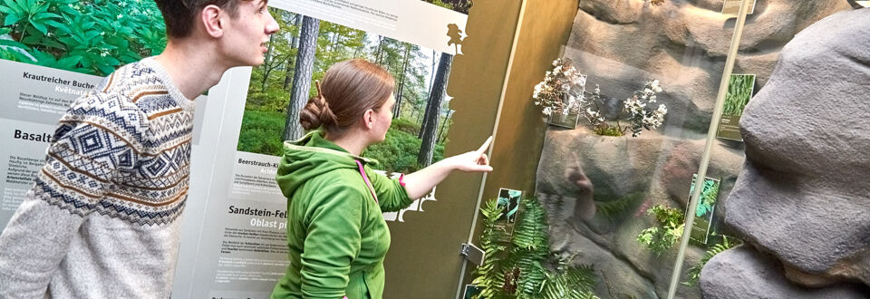 Sächsische Schweiz Nationalpark Gewinnt Fünf Neue Partner Sächsische Schweiz Nationalpark Gewinnt Fünf Neue Partner