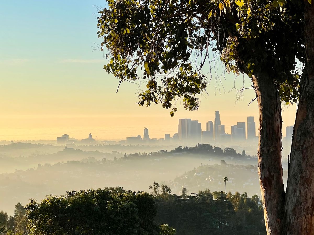 Selling Sunset Star Exposes Price Gouging By Landlords After LA Fires Selling Sunset Star Exposes Price Gouging By Landlords After LA Fires