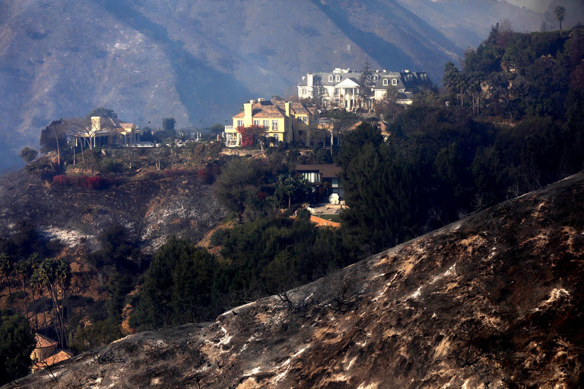 'Selling Sunset' Star Highlights Landlord Exploitation After LA Fires 'Selling Sunset' Star Highlights Landlord Exploitation After LA Fires